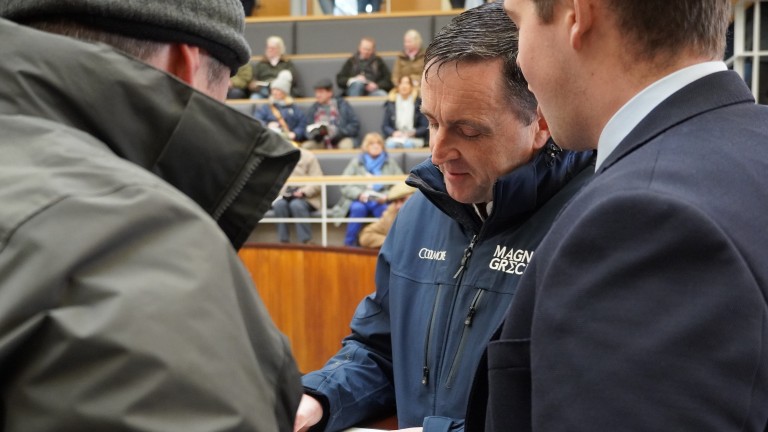 Gerry Aherne signing for the Walk In The Park colt out of Manly Dream