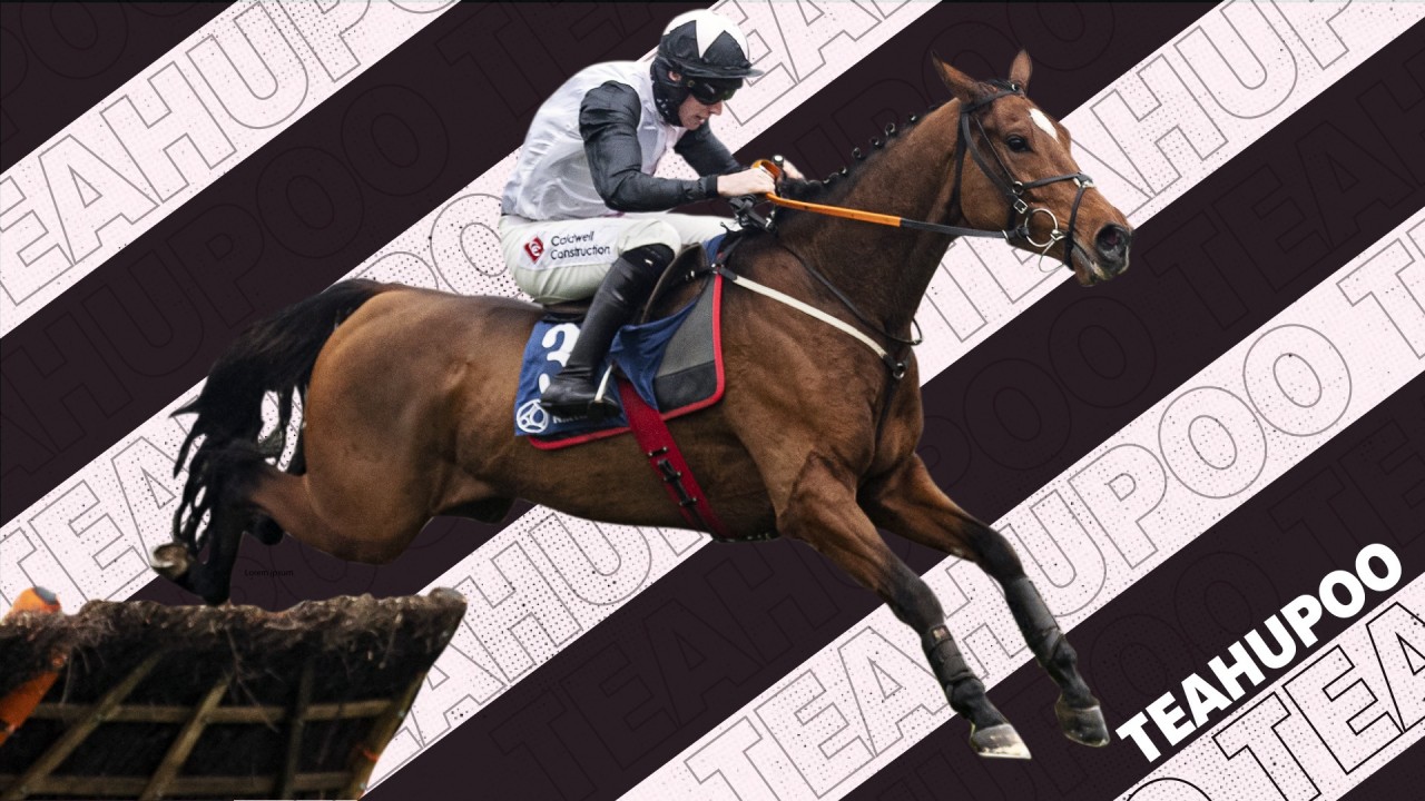 Honeysuckle conqueror Teahupoo out to prove Stayers' Hurdle claims