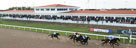 Chelmsford (AW) Racecourse