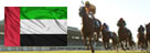 Al Ain Racecourse