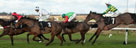 Hereford Racecourse