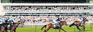 Newmarket Racecourse