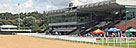 Wolverhampton (AW) Racecourse