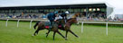 Wincanton Racecourse