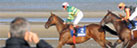 Laytown Racecourse