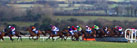 Punchestown Racecourse