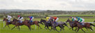 Roscommon Racecourse