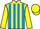 Horse Profile - Jockey Colours