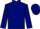 Horse Profile - Jockey Colours