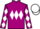 Horse Profile - Jockey Colours