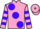 Horse Profile - Jockey Colours