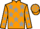 Horse Profile - Jockey Colours