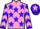 Horse Profile - Jockey Colours