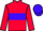 Horse Profile - Jockey Colours