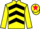 Horse Profile - Jockey Colours