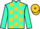 Horse Profile - Jockey Colours