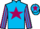 Horse Profile - Jockey Colours