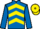 Horse Profile - Jockey Colours