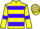 Horse Profile - Jockey Colours