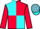 Horse Profile - Jockey Colours