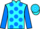 Horse Profile - Jockey Colours