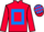 Horse Profile - Jockey Colours