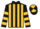 Horse Profile - Jockey Colours