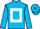 Horse Profile - Jockey Colours