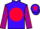 Horse Profile - Jockey Colours