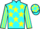 Horse Profile - Jockey Colours