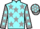 Horse Profile - Jockey Colours