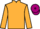 Horse Profile - Jockey Colours