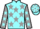 Horse Profile - Jockey Colours