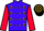 Horse Profile - Jockey Colours