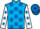 Horse Profile - Jockey Colours