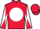 Horse Profile - Jockey Colours