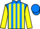 Horse Profile - Jockey Colours