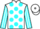Horse Profile - Jockey Colours