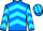 Horse Profile - Jockey Colours