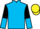 Horse Profile - Jockey Colours