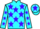 Horse Profile - Jockey Colours