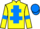 Horse Profile - Jockey Colours