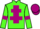 Horse Profile - Jockey Colours