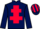 Horse Profile - Jockey Colours